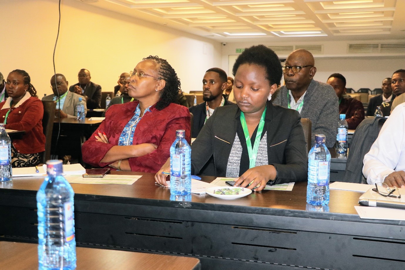 workshop participants